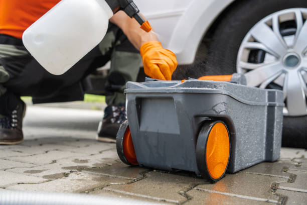 Best Lawn Renovation and Restoration  in Palmetto, FL
